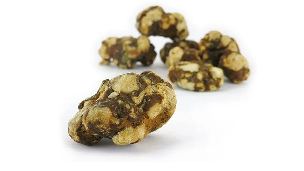 magic truffles