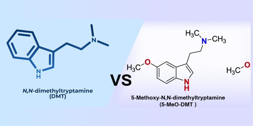 An image of DMT vs. 5-MeO-DMT